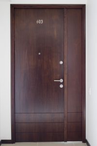 PUERTA LISA CON MONTANTE KALE 6