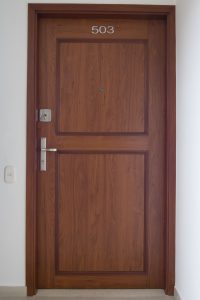 PUERTA MOLDURADA LATERAL